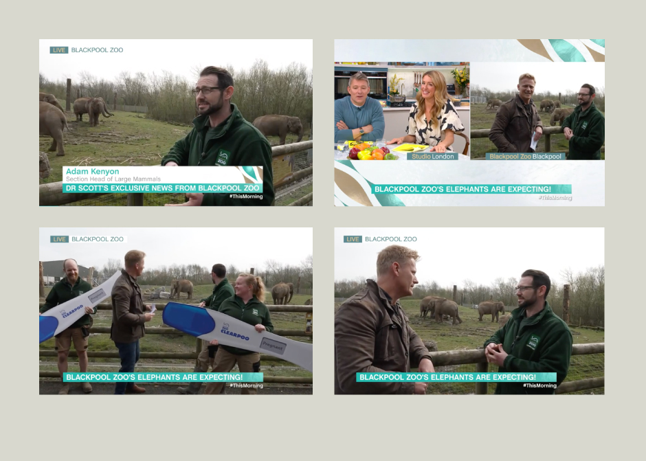 Securing coverage on national TV for Blackpool Zoo